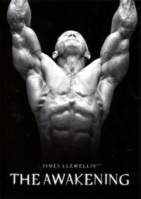 James Llewellin - The Awakening